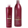 Inebrya Color Perfect Shampoo 300 ml