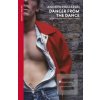 Dancer from the Dance (Andrew Holleran)