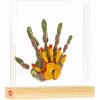 Tiny Love Stojan Na Odtlačky Family Prints Tiny Creations