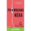 E-kniha Promrhaná něha - Jan Šimek