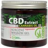 Vivaco VivaPharm CBD Masážny gél s cannabidiolom regeneračný\s650 ml