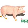 Atlas B Prase 9 cm
