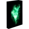 Paladone Svietiaci obraz Harry Potter - Patronus