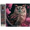 Norimpex Diamantová mozaika Sova v růžích