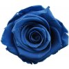 Aneta Dark blue - tmavo modrá (Stabilizovaná 
