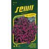 Semo Lobelka previsnutá - Cascade červená previsnutá 0,25g