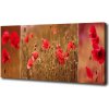 Foto obraz na plátne do obývačky Maky triptych 100x50 cm