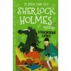 Sherlock Holmes vyšetruje: Strieborný lysko