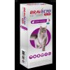 MSD Bravecto Cat Plus L 500 mg / 25 mg spot-on roztok pre veľké mačky ( >6,25-12,5 kg )
