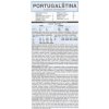 Portugalština souhrn gramatiky leporelo