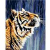 Maľovanie podľa čísel - Tiger pri vodopáde, 80 x 100 cm, napnuté plátno na ráme 8596530012597