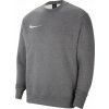 Nike Y NK FLC PARK20 CREW cw6904-071