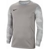 Nike Dry Park IV JSY LS GK JR CJ6072 052