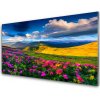 Nástenný panel Lúka kvety príroda 100x50 cm