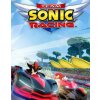 Team Sonic Racing