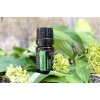 doTerra Melaleuca - 5 ml