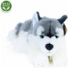 Eco Fiendly Rappa pes husky ležící 30 cm