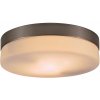 GLOBO – lighting Globo OPAL - 48402, Stropné svietidlo