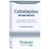 Doplnok stravy Protexin Cobalaplex 60 želatínových kapsúl pre psov a mačky