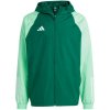 Adidas Tiro 23 Competition All Weather M IC4570 jacket (182836) Black/Green L