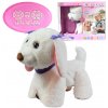RC Cute Pet: Interaktívny psík na diaľkové ovládanie Labrador s príslušentstvom 2.4GHz 40cm