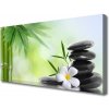 Obraz na plátne Bambus stonka kvet rastlina 100x50 cm