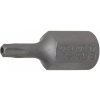 BGS technic Gola hlavica-bit | 10 mm (3/8