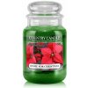 Country Candle Home for Christmas 652 g