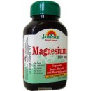 Jamieson Magnesium 100 mg 100 tabliet