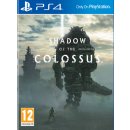 Hra na PS4 Shadow of the Colossus