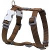 Red Dingo postroj jednofarebný 20 mm x 45-66 cm hnedý