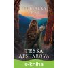E-kniha Sedliacky kráľ - Tessa Afshar