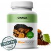 MycoMedica Chaga 90 caps