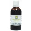 HERBÁRIUS - Medovka lekárska tinktúra 50ml