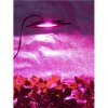 PROFI LED GROW reflektor pre všetky rastliny (ružová) 50W