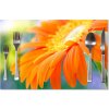 Sablio Prestieranie Oranžová gerbera 40x30cm