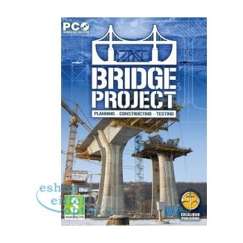 Bridge Project