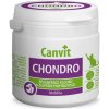 Canvit Chondro Cat 100 g