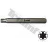 Bit Triumf Ribe, 10 mm driek, dĺžka 100 mm M14
