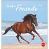 Pferde Postkarten Starke Freunde 2027
