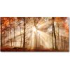 Foto obraz fotografie na skle Hmla v lese jeseň 100x50 cm