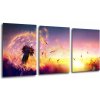 Impresi Obraz Púpava sa západom slnka - 150 x 70 cm (3 dielny)