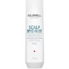 Goldwell Dualsenses Scalp Specialist Anti-Dandruff Shampoo 250 ml
