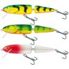 SPORTS Limitovaná edícia Salmo White Fish 13cm plávajúci-dvojdielny Hot Perch