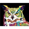 Maľovanie podľa čísel – Farebná sova, 100 × 80 cm, plátno napnuté na ráme 8596530040392