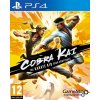 Cobra Kai The Karate Kid Saga Continues