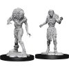 WizKids D&D Nolzur s Marvelous Miniatures: Drowned Assassin & Asetic