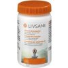 LIVSANE Vitamín B komplex tbl 1x60 ks