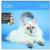 Kalendár nástenný plánovací 2026 - Cats