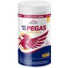 VITAR Veterinae ArtiVit Pegas MSM 720g